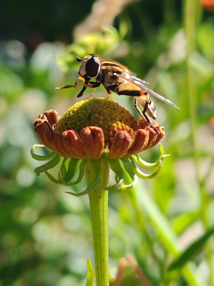 Photograph by Ольга Хромова