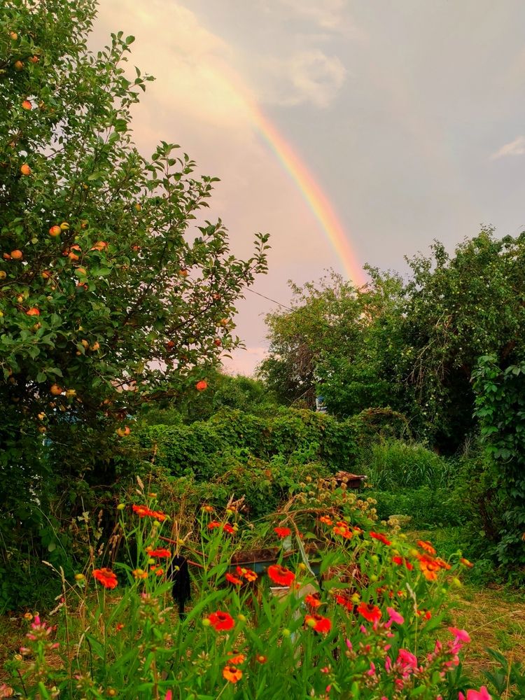 Photograph by Ольга Хромова