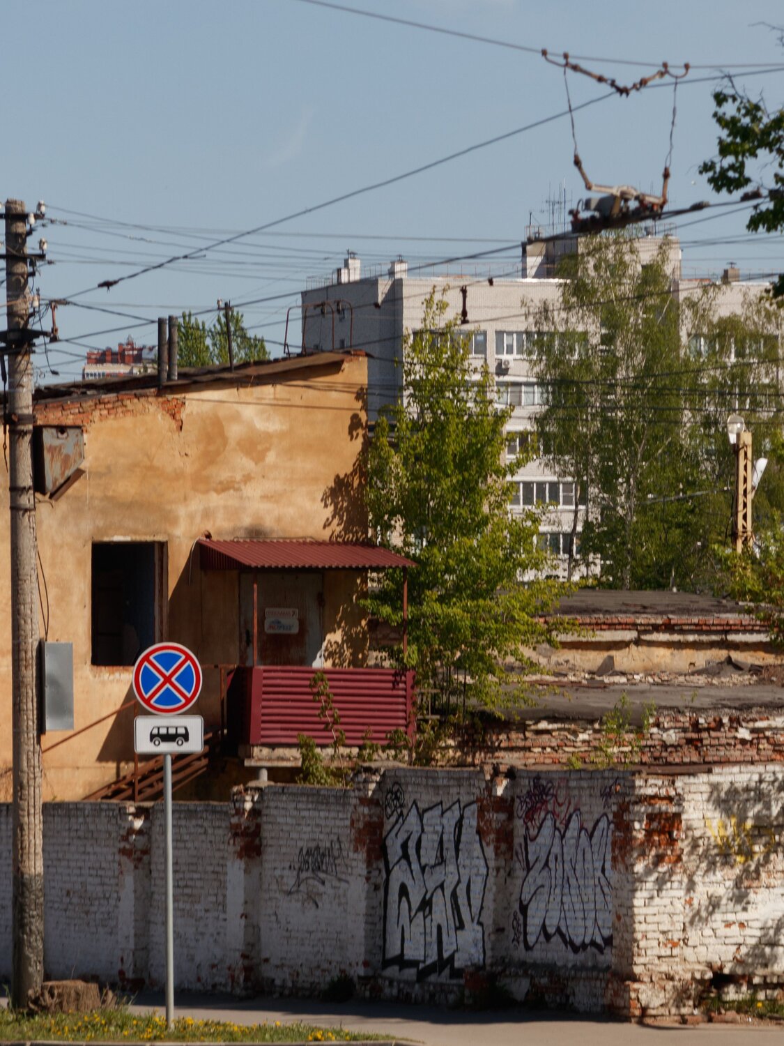 Photo #12450983