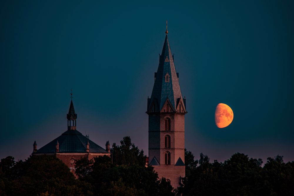 Photograph by Игорь Овсиенко