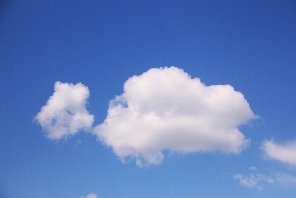 Photograph by Николай Горбачёв