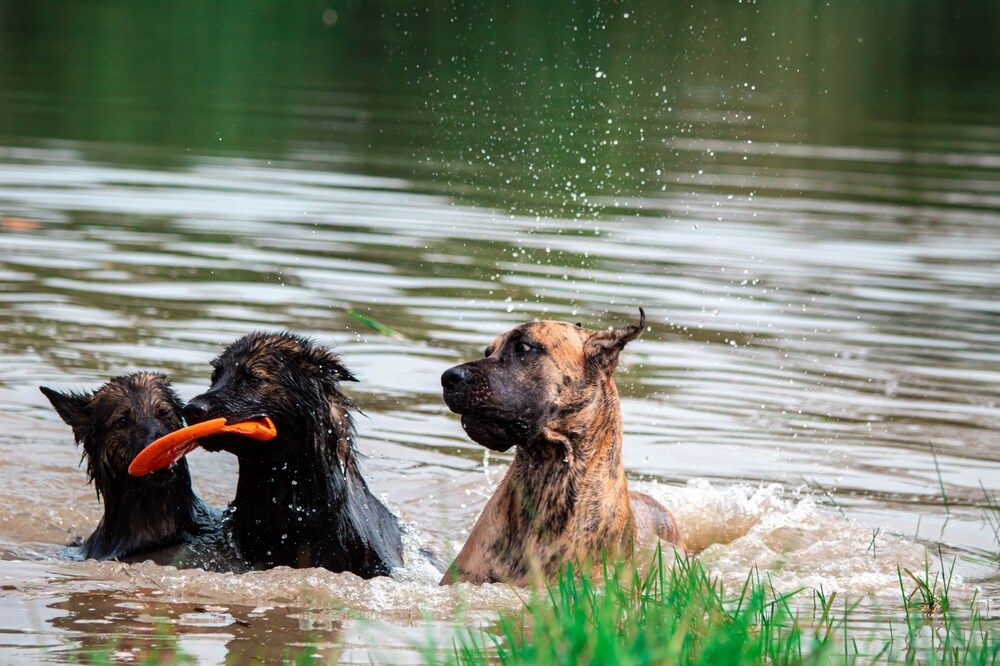 Photograph by Natalya Gracheva