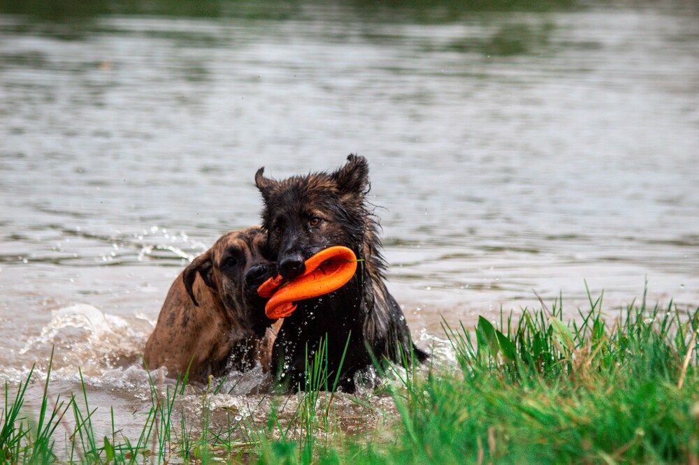 Photograph by Natalya Gracheva