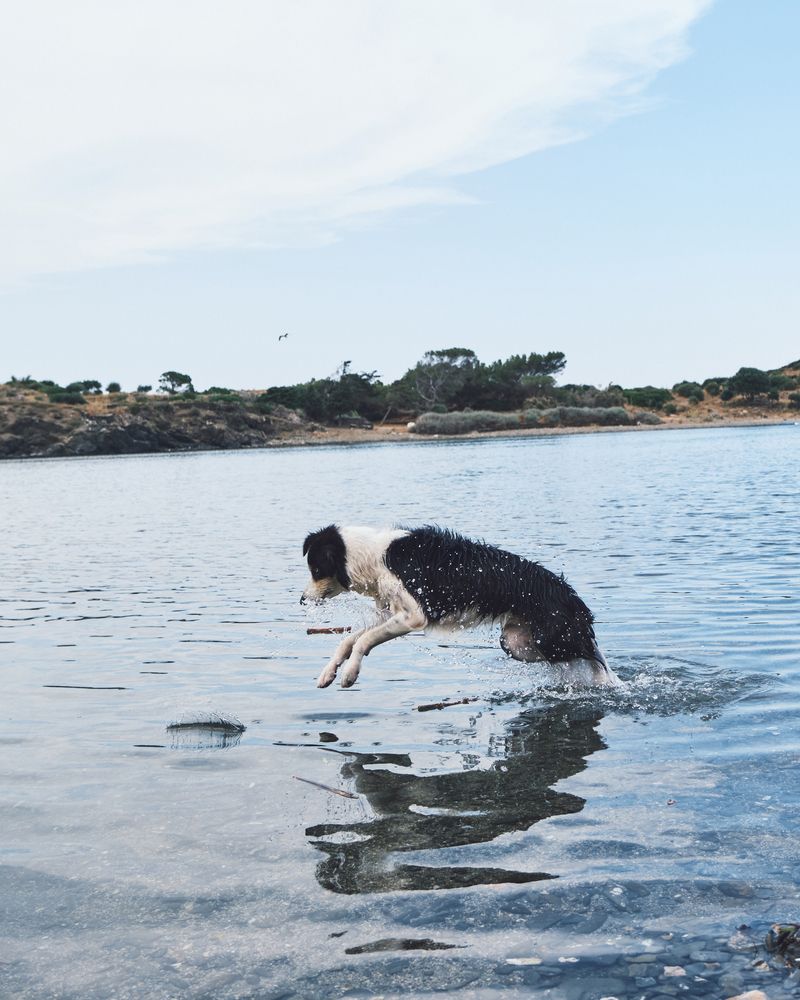 Фотография автора Владимир Эделев