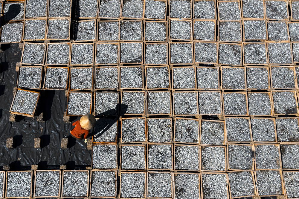 Photograph by Le Nhat Quang