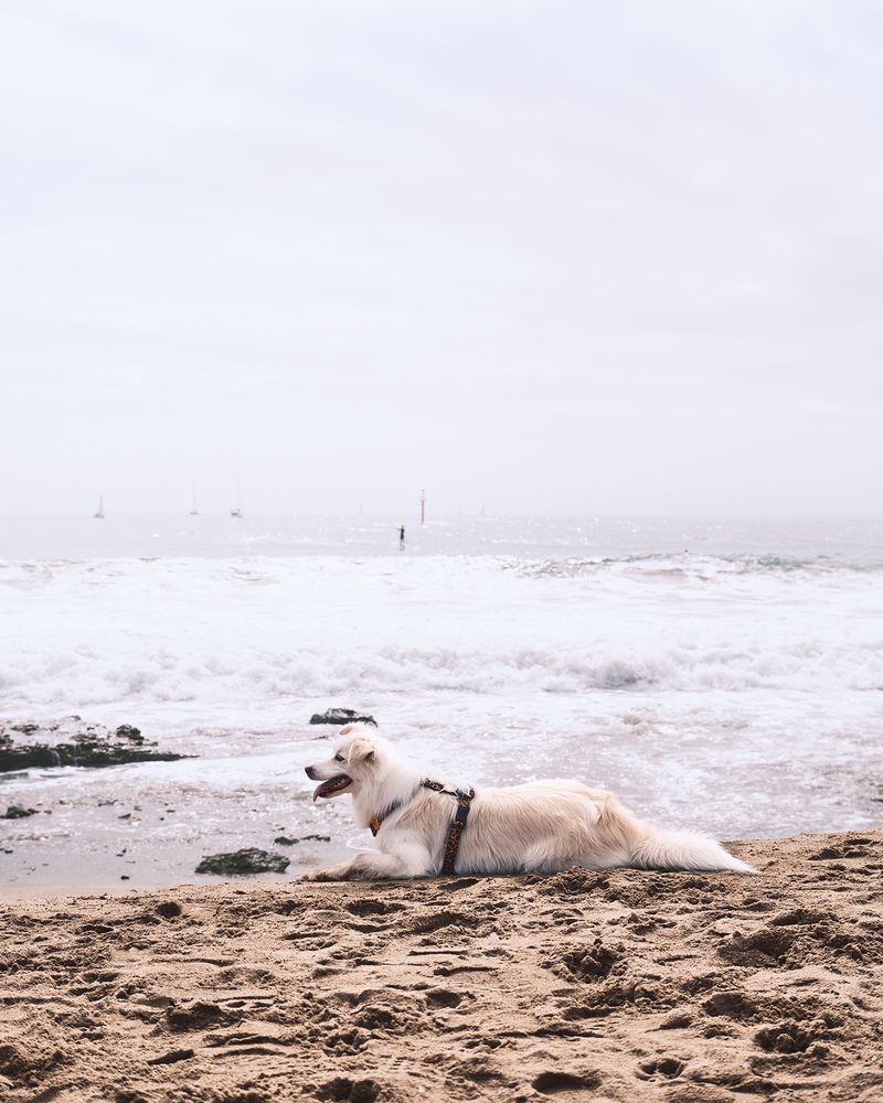 Фотография автора Владимир Эделев