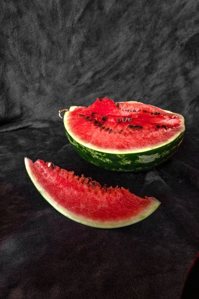 Photograph by София Серёжечкина