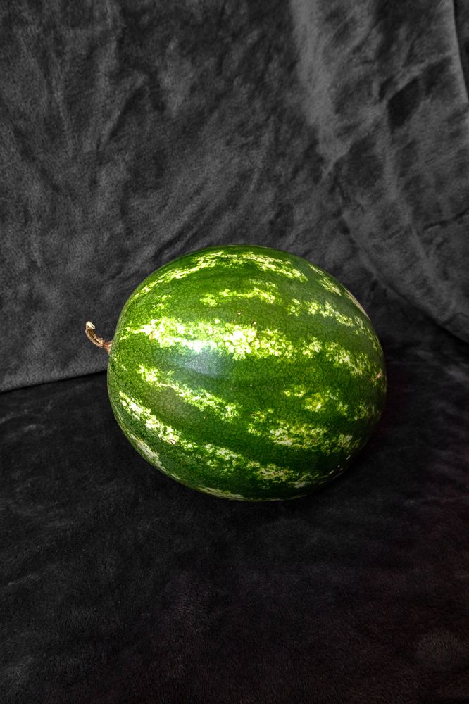 Photograph by София Серёжечкина