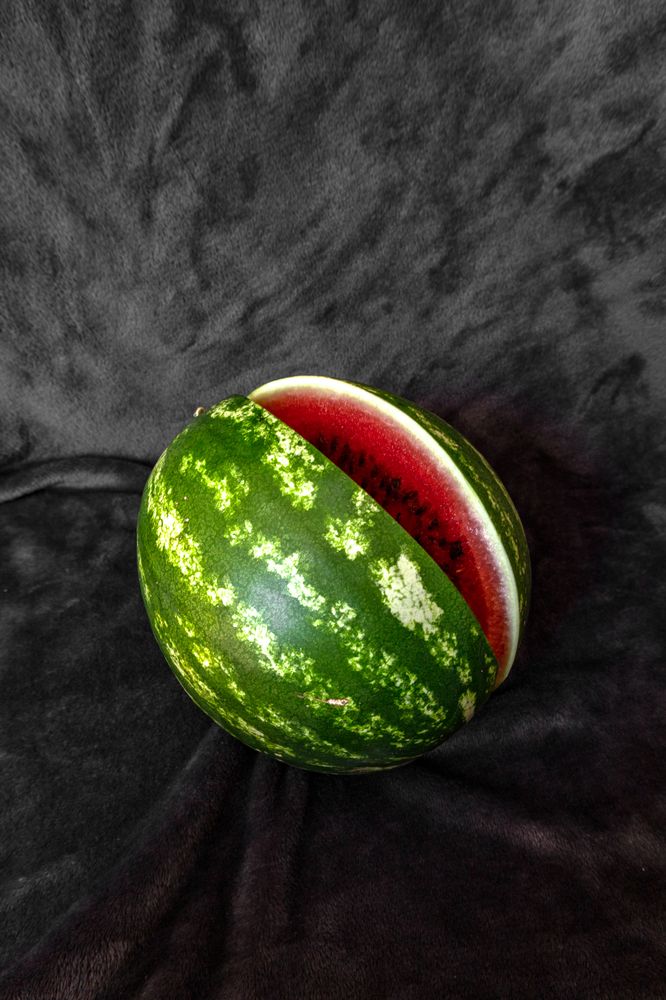 Photograph by София Серёжечкина