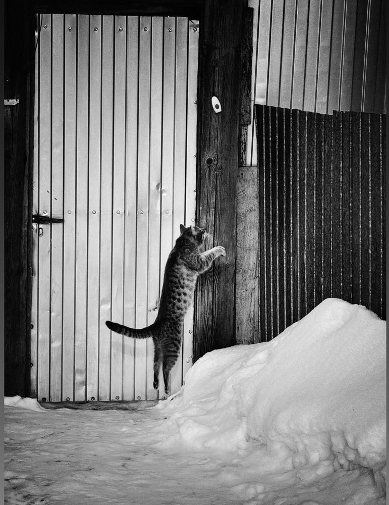 Photograph by Groznetskaya