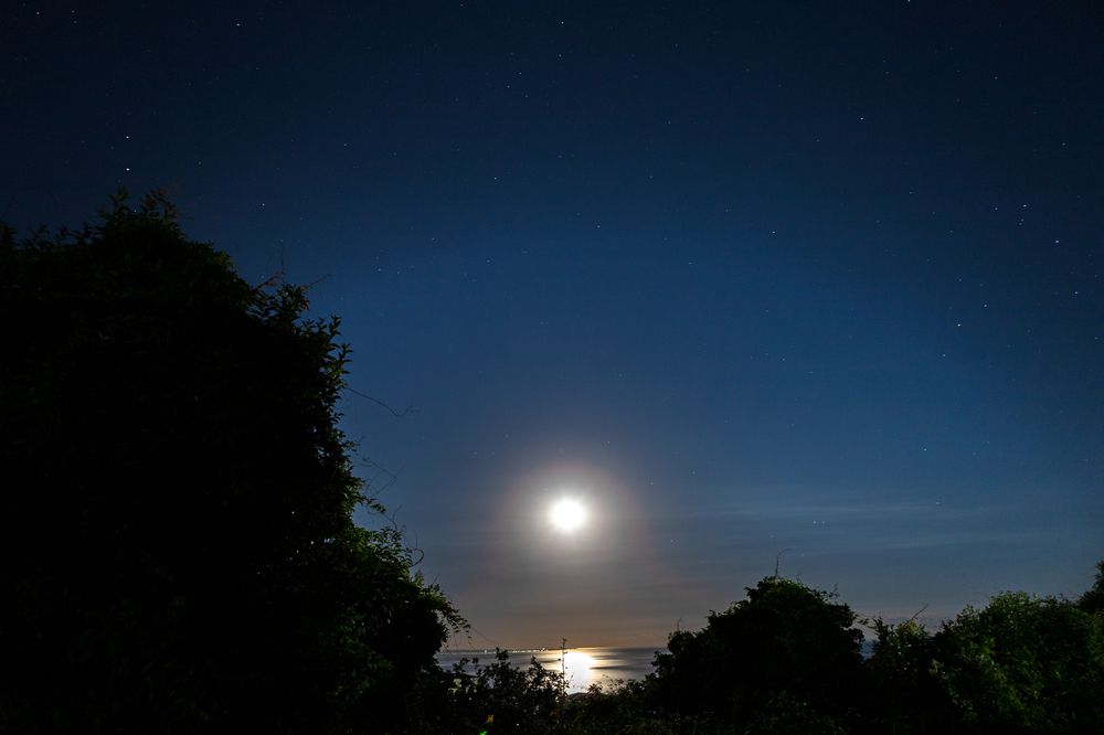 Photograph by София Серёжечкина