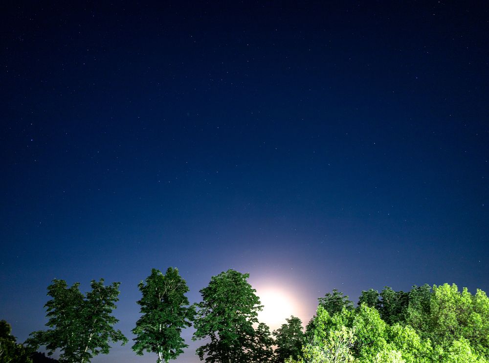 Photograph by София Серёжечкина