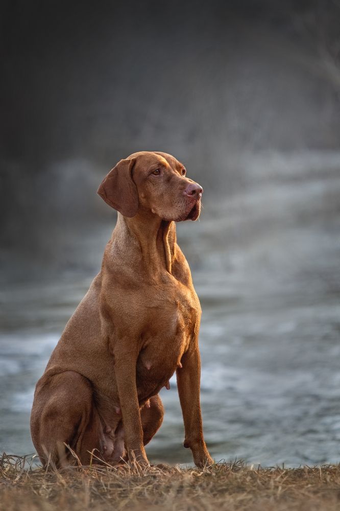 Photograph by Эльнара Исаева