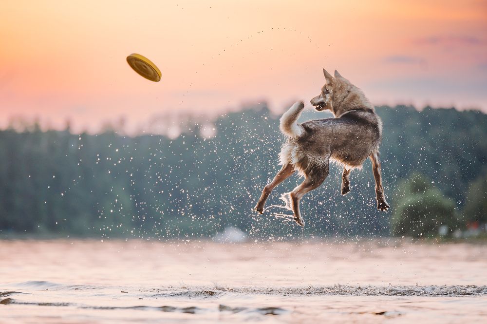 Photograph by Kate Entsi