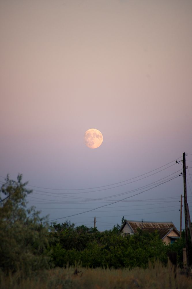 Photograph by Алина Орлова