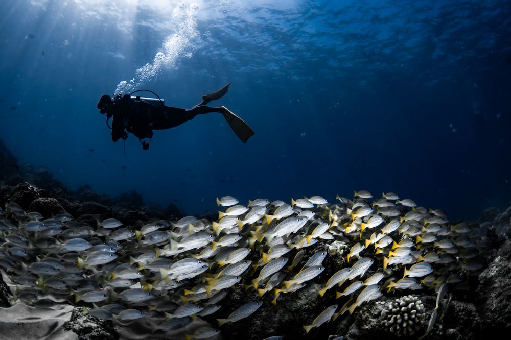 Photograph by nishijima takayuki