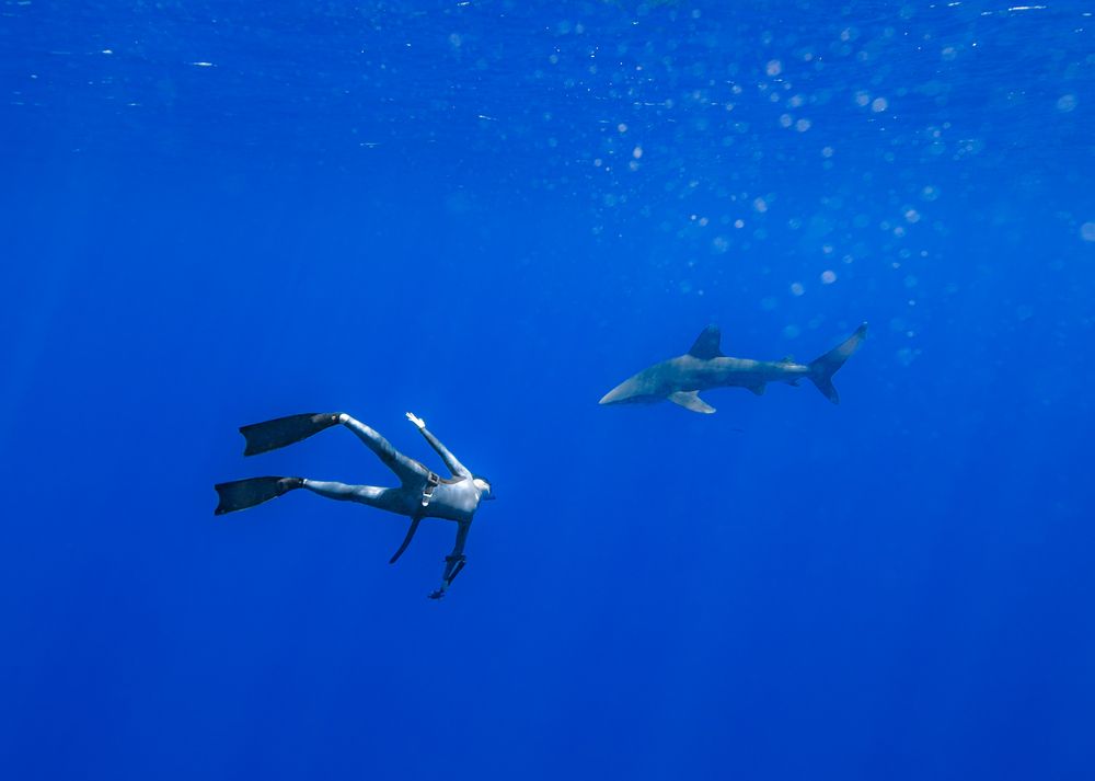 Photograph by nishijima takayuki