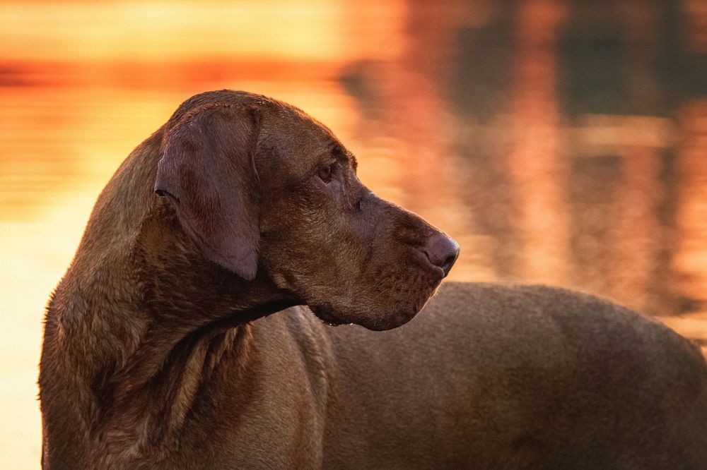 Photograph by Эльнара Исаева