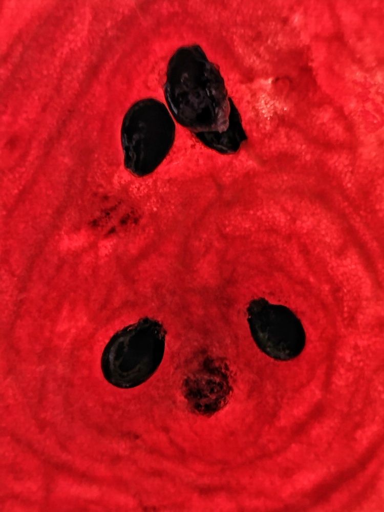 Photograph by Ирина Семенович