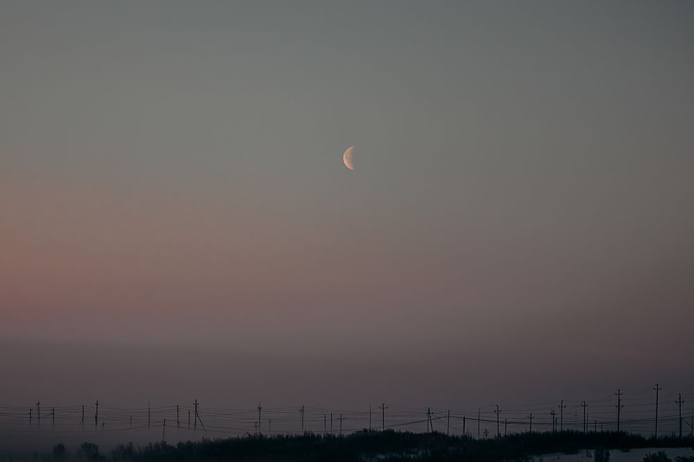 Photograph by Александр Шалагин