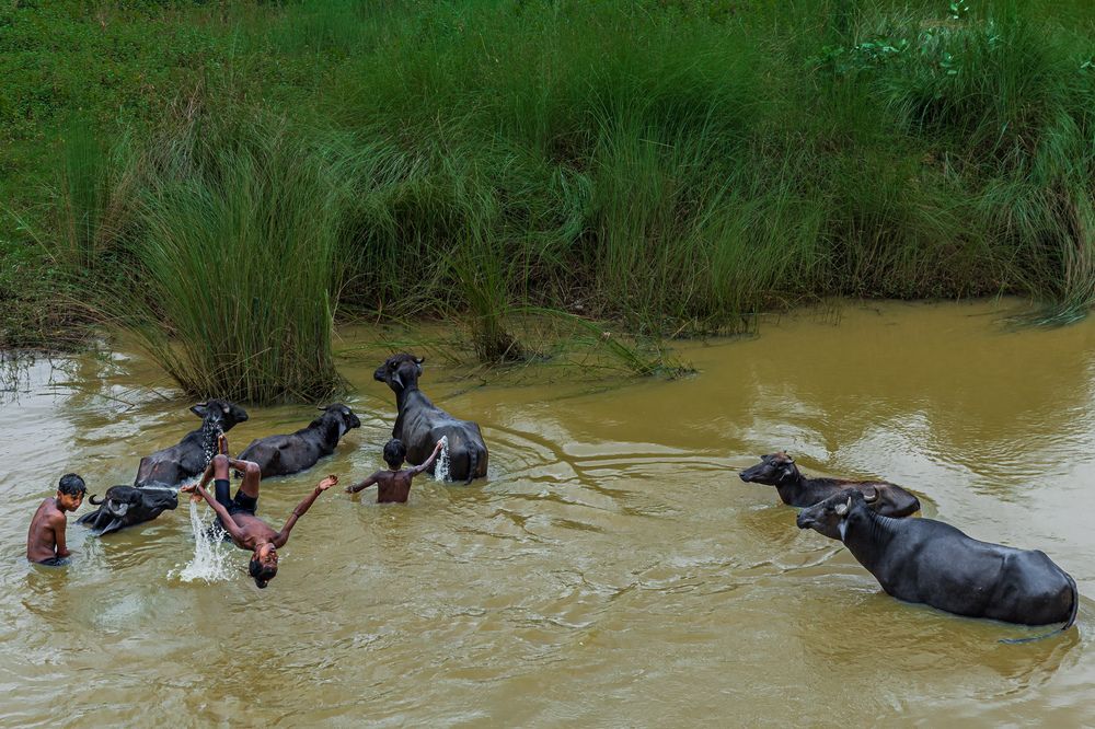 Фотография автора Shuvadeep Paul