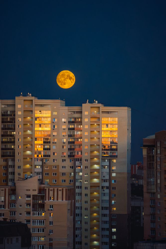 Photograph by Александр Шалагин