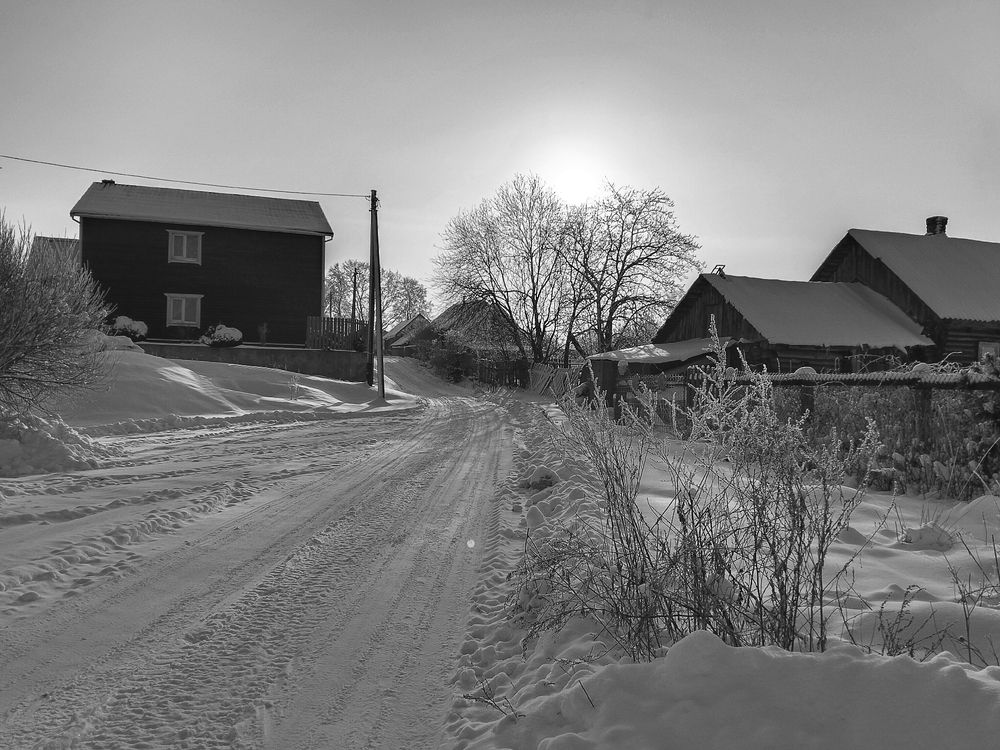 Photo #12451497