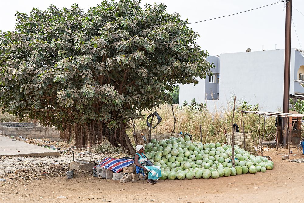 Photograph by Jacky Weckx