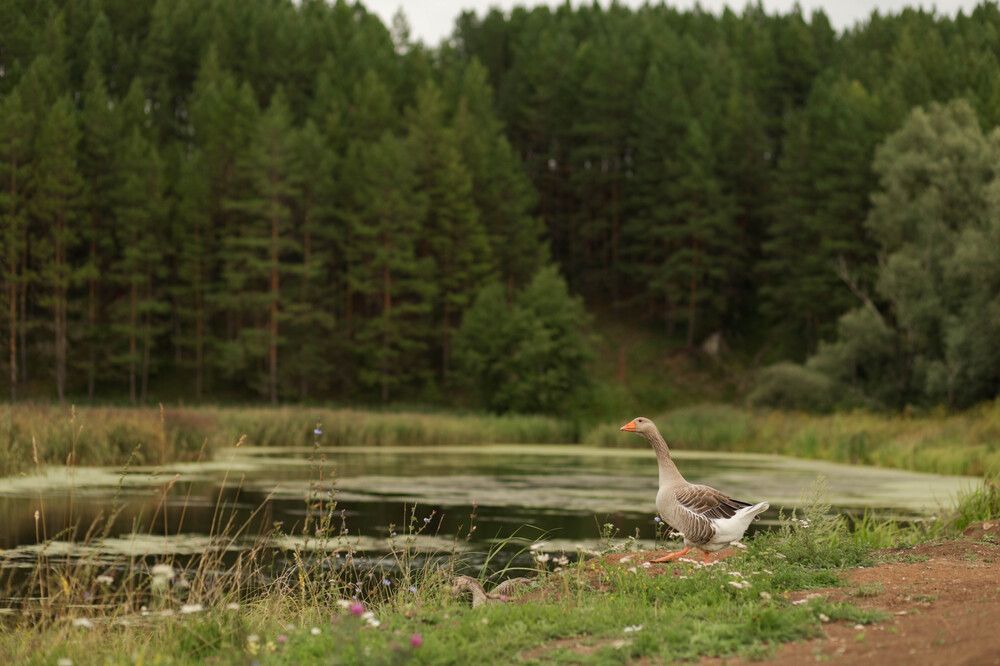 Photograph by Александра Камитова