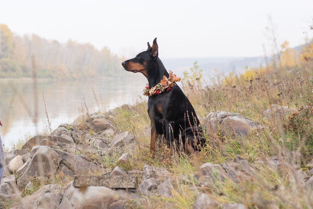 Фотография автора Екатерина Полякова