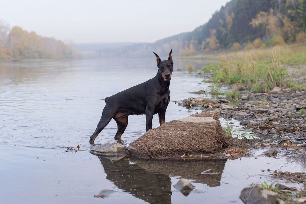 Фотография автора Екатерина Полякова