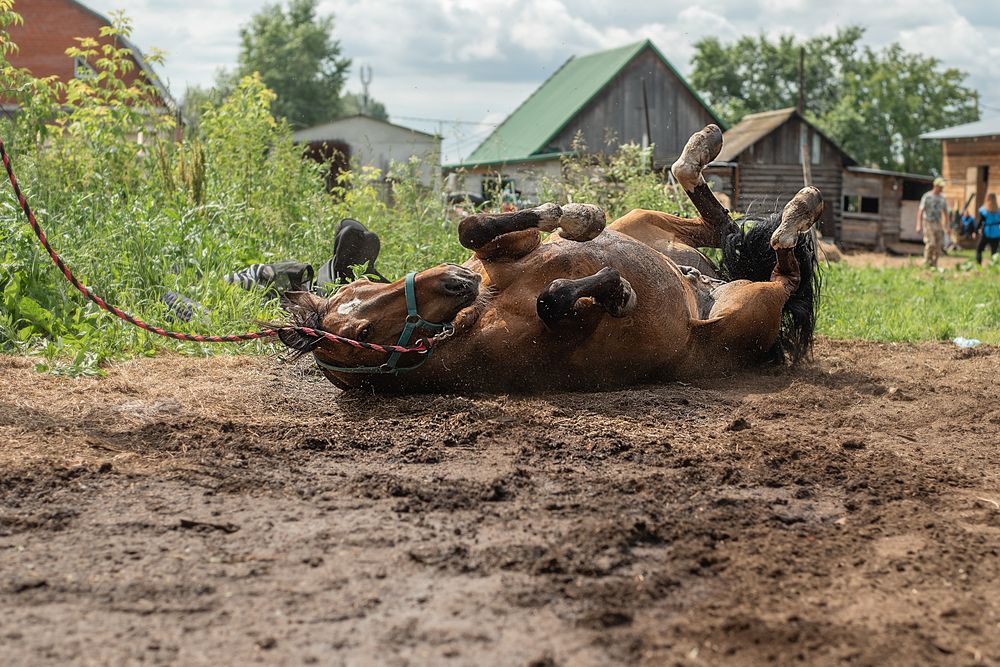 Фотография автора Екатерина Полякова