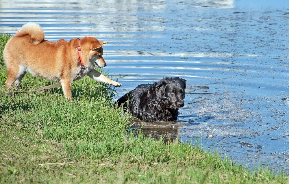 Photograph by Валерий Клейменов