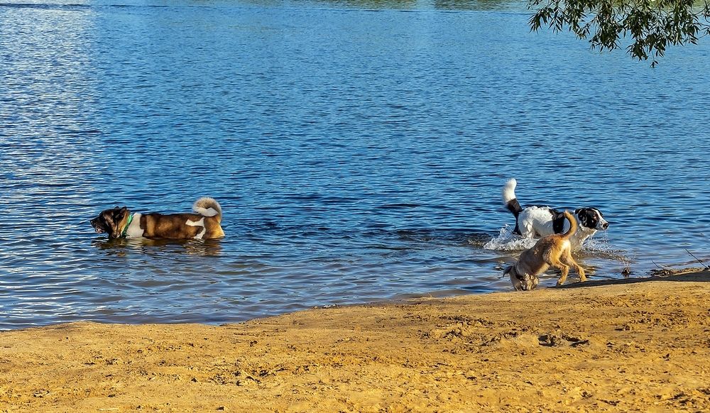 Photograph by Валерий Клейменов