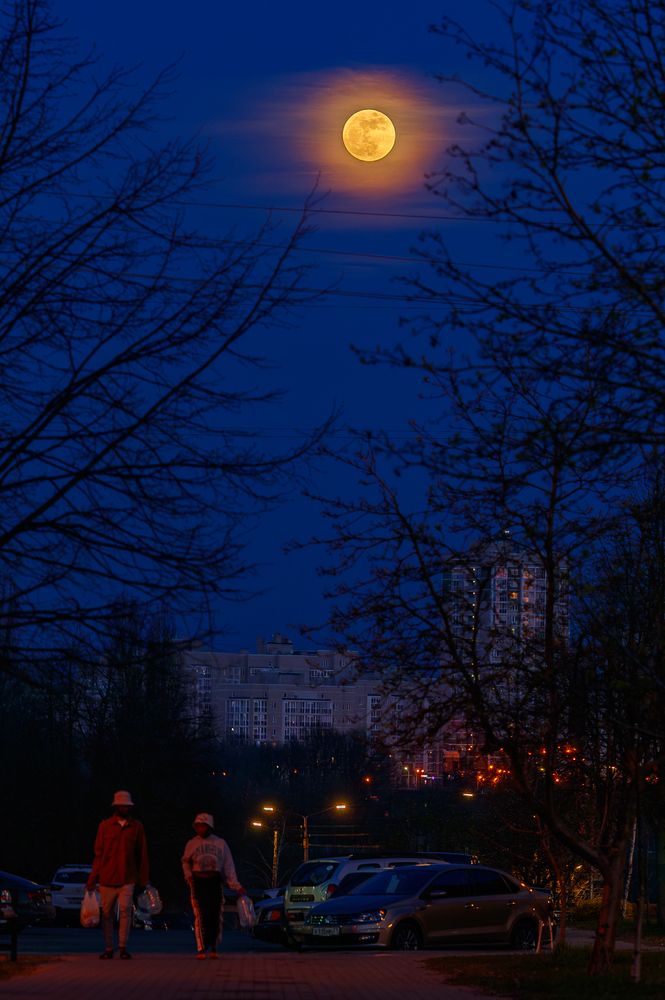 Photograph by Павел Косухин