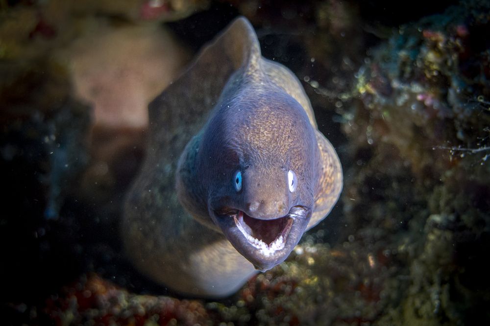 Photograph by Никита Костылёв