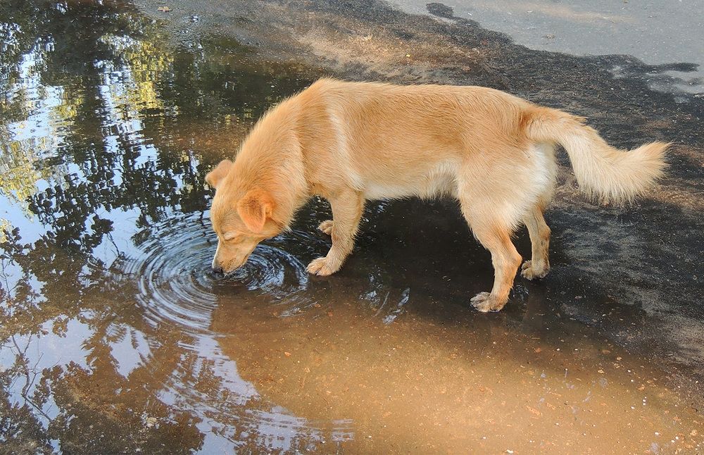 Photograph by Павел Кулинич