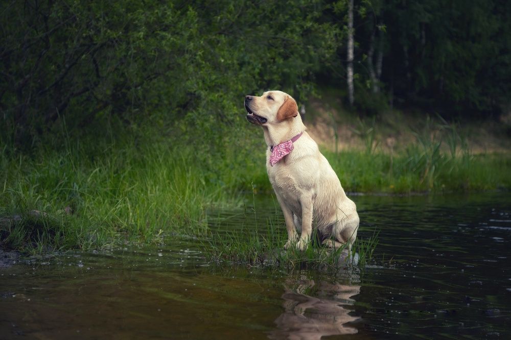 Photograph by Татьяна