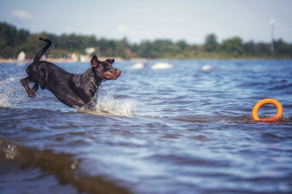 Photograph by Татьяна