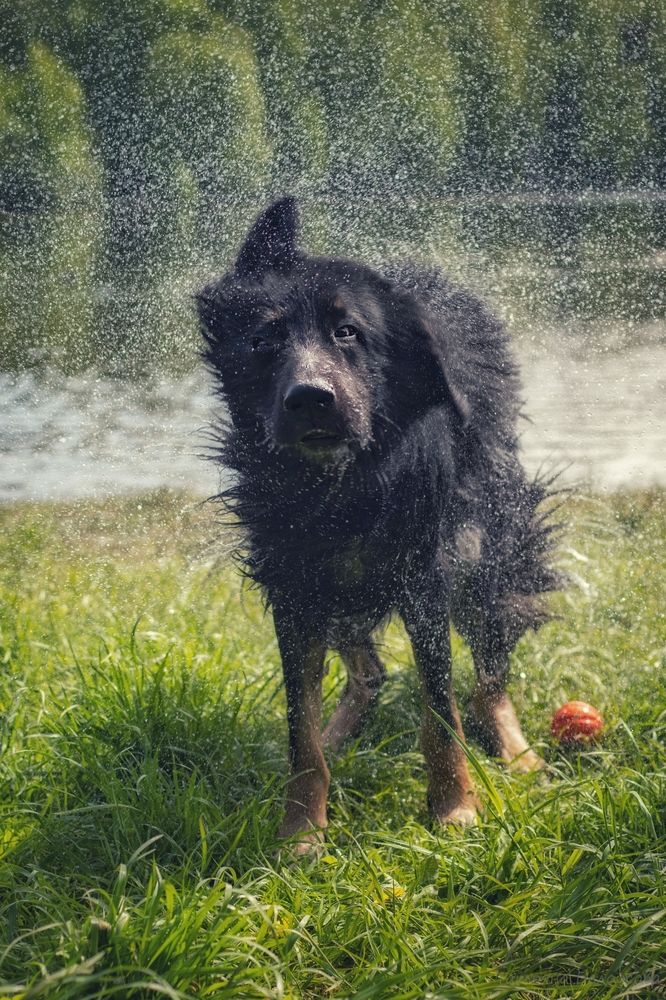 Photograph by Татьяна