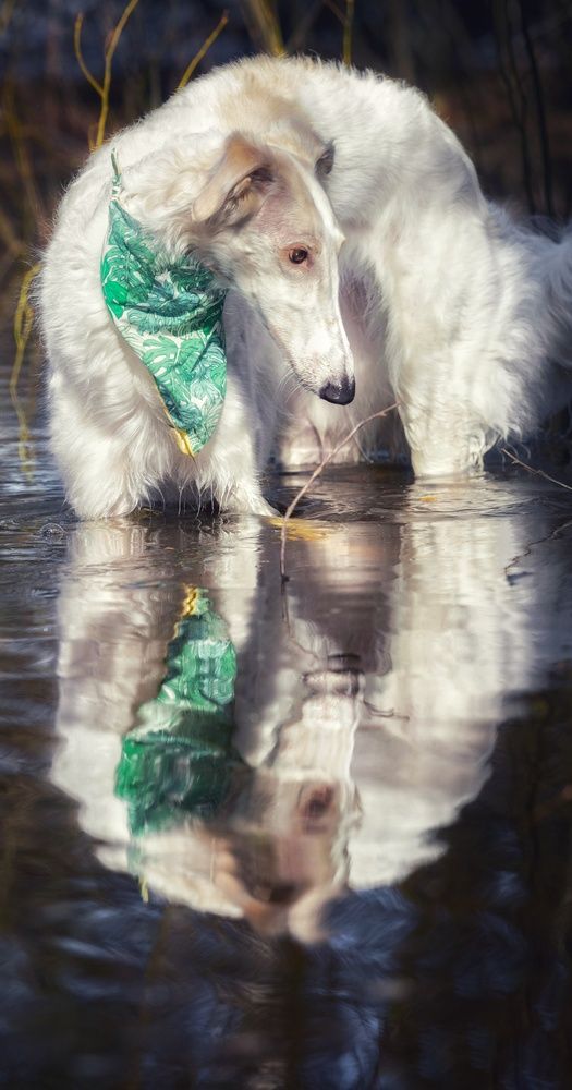 Photograph by Татьяна