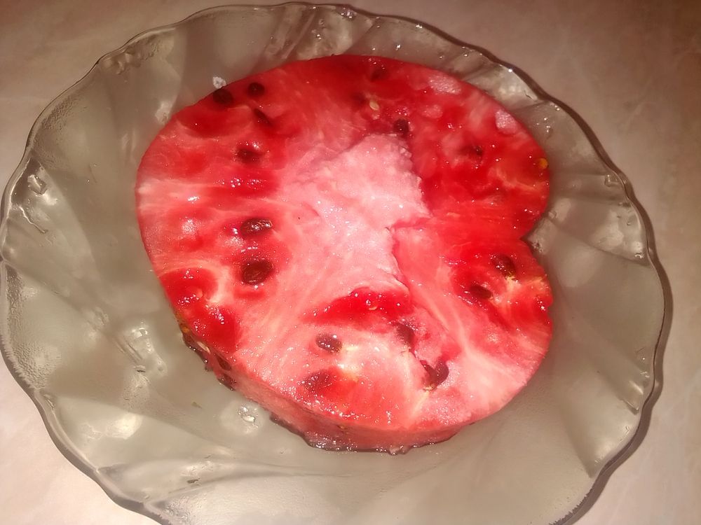 Photograph by Irina Mihailovskaya