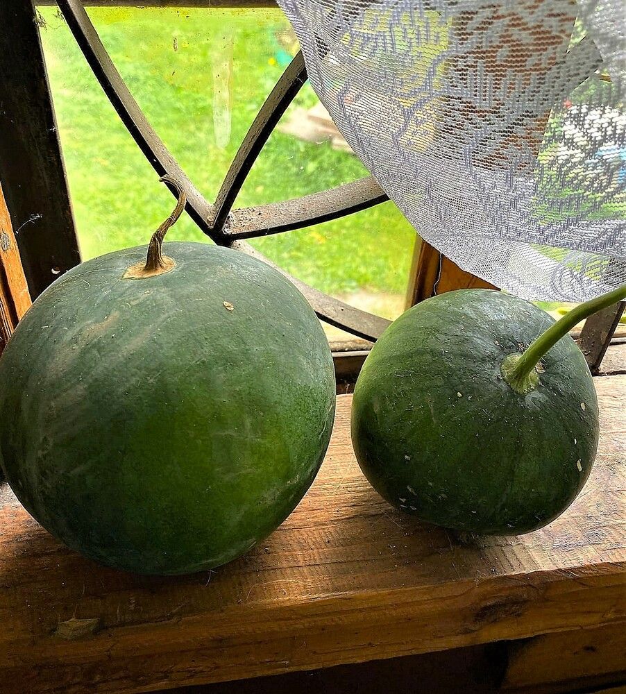 Уральские арбузики