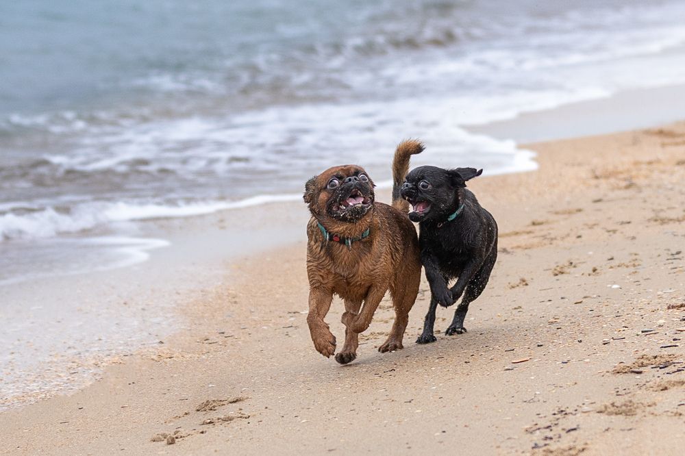 Photograph by Яна Карамышева