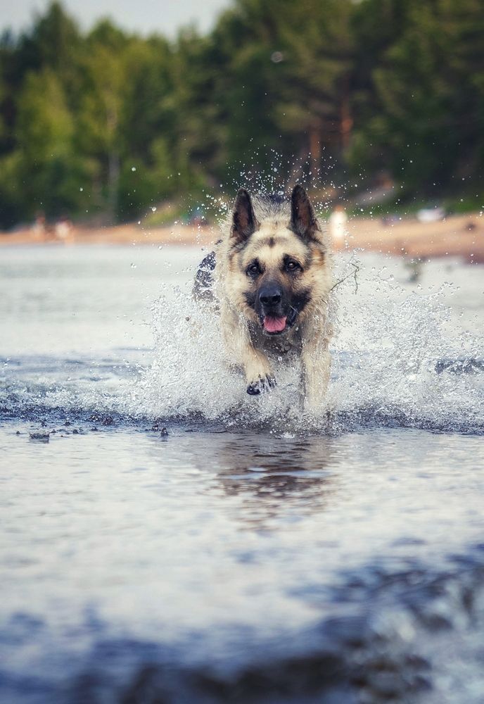 Photograph by Татьяна