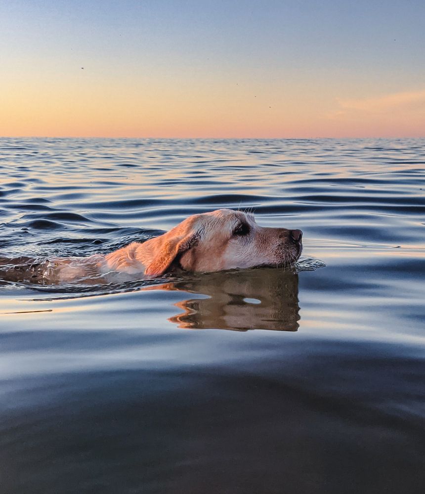 Фотография автора Ксения Шляйхер
