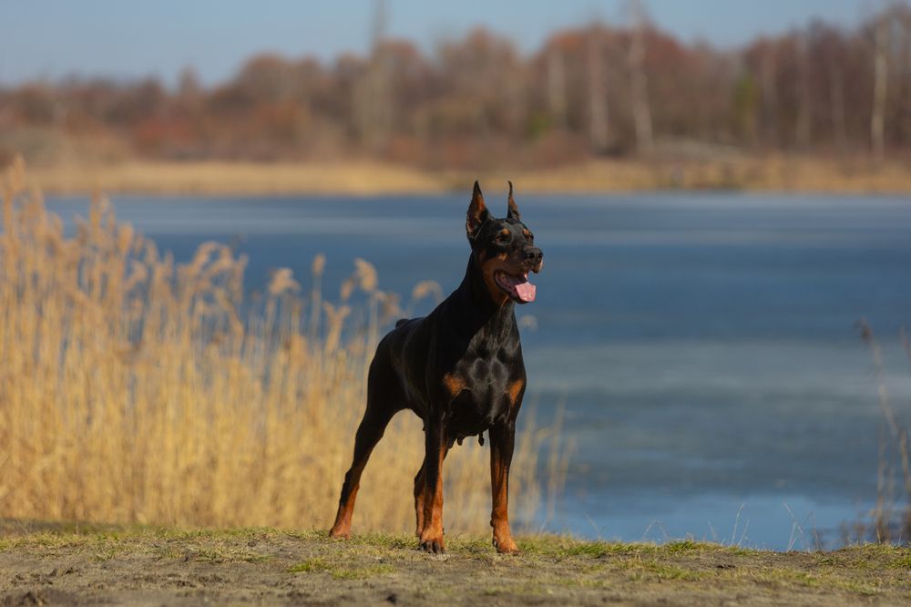 Photograph by Оксана