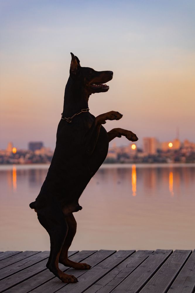 Photograph by Оксана