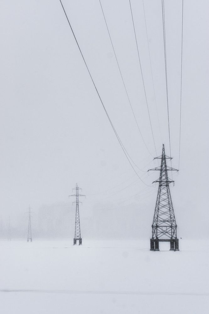 Photograph by Olga Sharikova