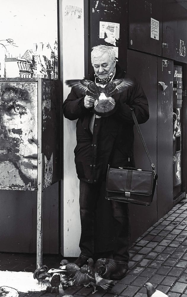 Фотография автора Ксения Шляйхер